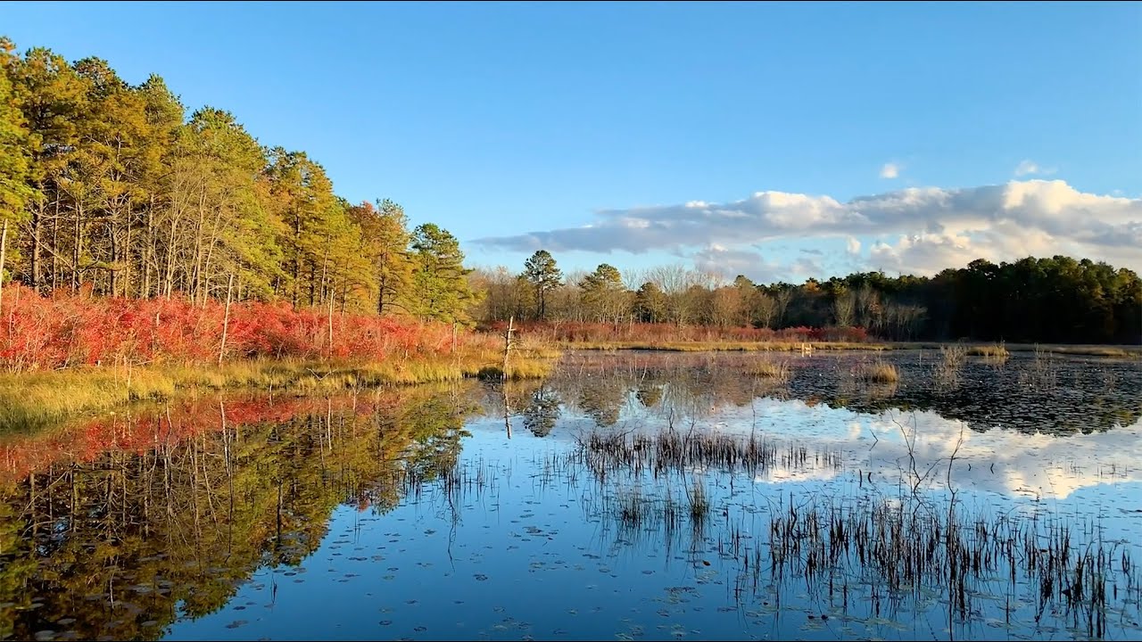 Black Run Preserve: Water, Nature, People