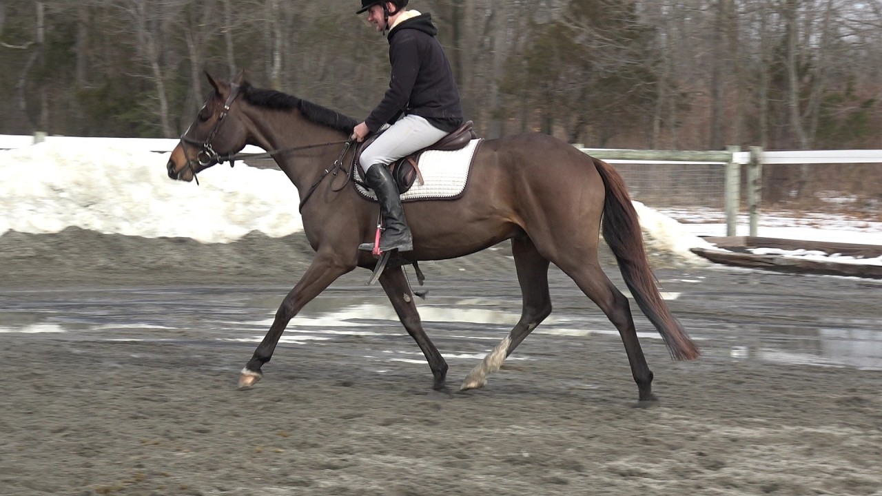 Chip 3rd ride 2 11 26