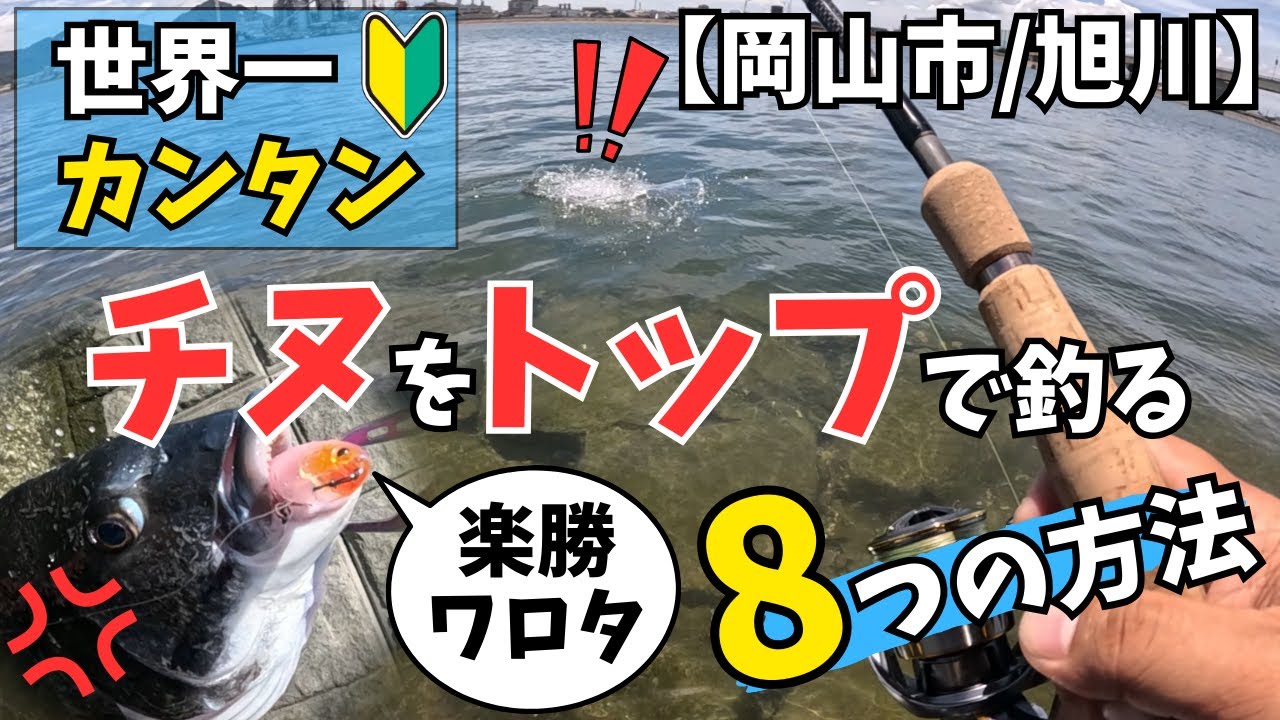 【岡山市/旭川】世界一チヌをトップで簡単に釣る8つの方法