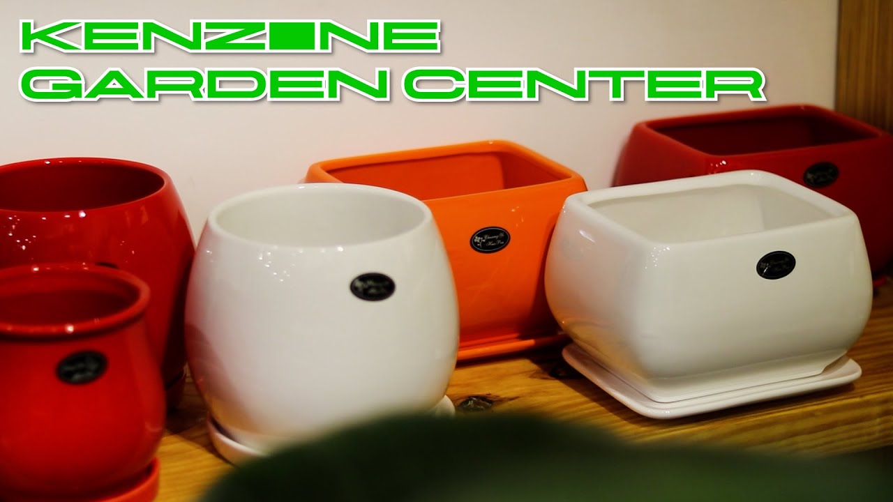 KENZINE GARDEN CENTER | THRISSUR |CINEMATIC VIDEO | POTS | INDOOR & OUTDOOR PLANTS GARDENSHOP