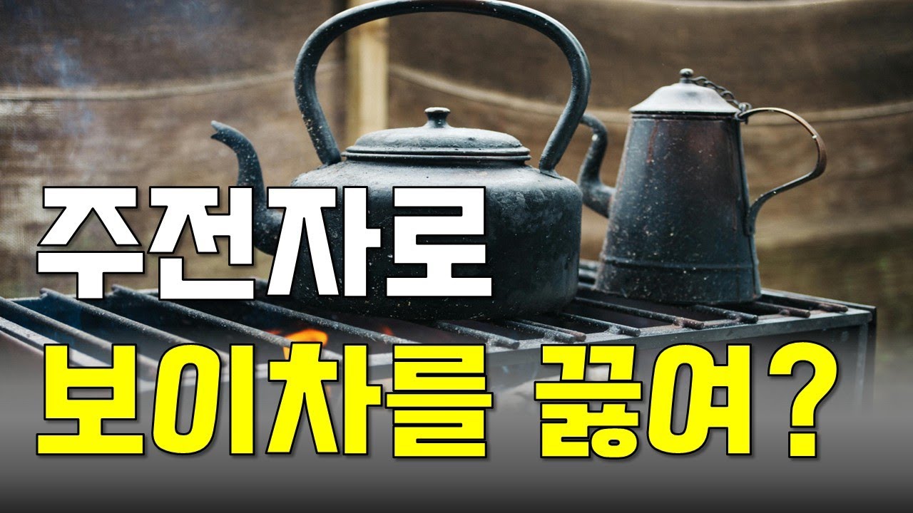 중국 차문화 보이차 효능 주전자 끓이는 법 마시는 방법
