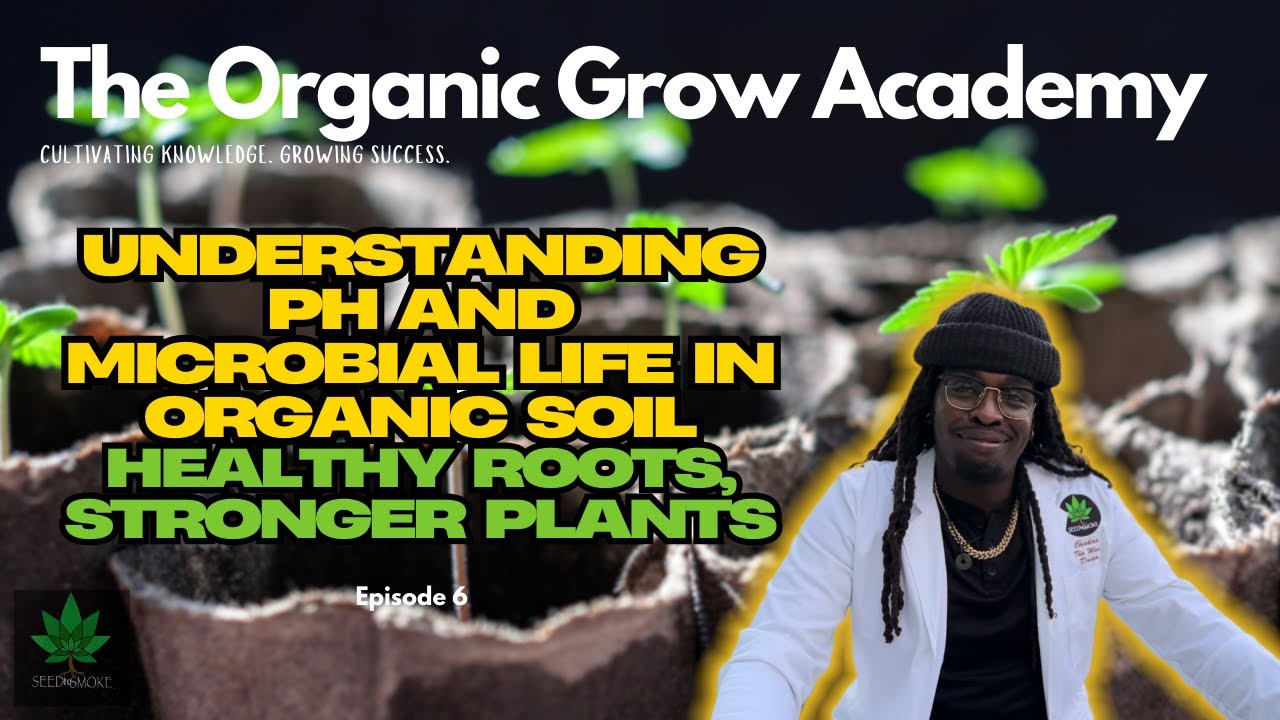 🌱 Understanding pH and Microbial Life in Organic Soil | Healthy Roots, Bigger Yields