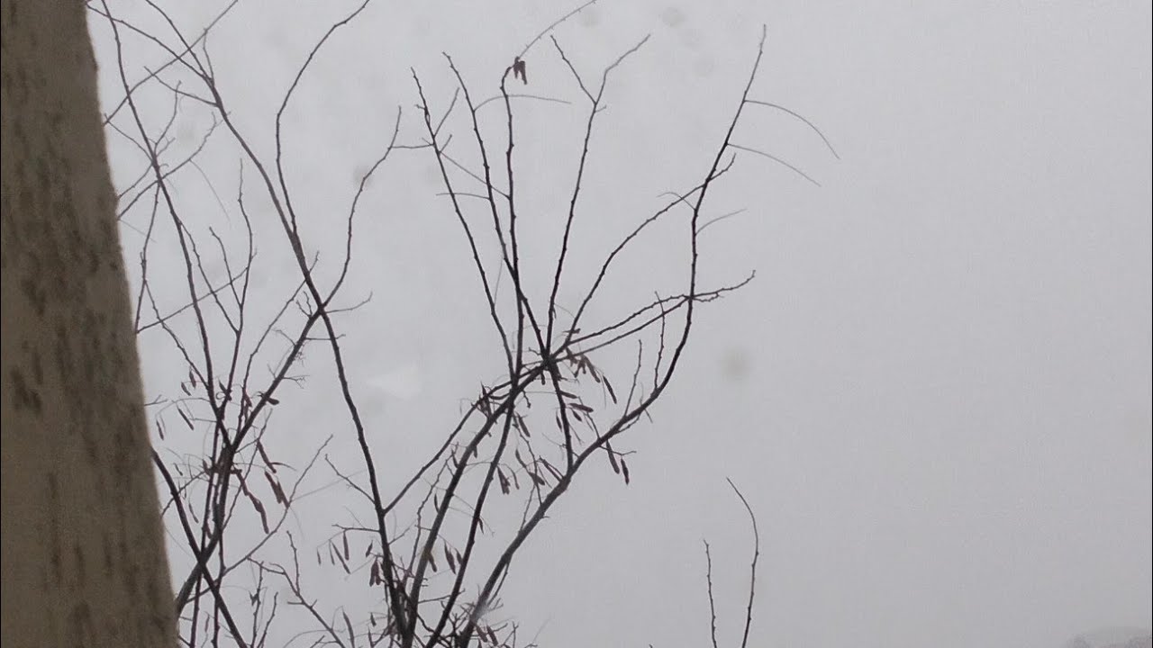 Winter snow, Зима снег🩵❄️💨🌨️