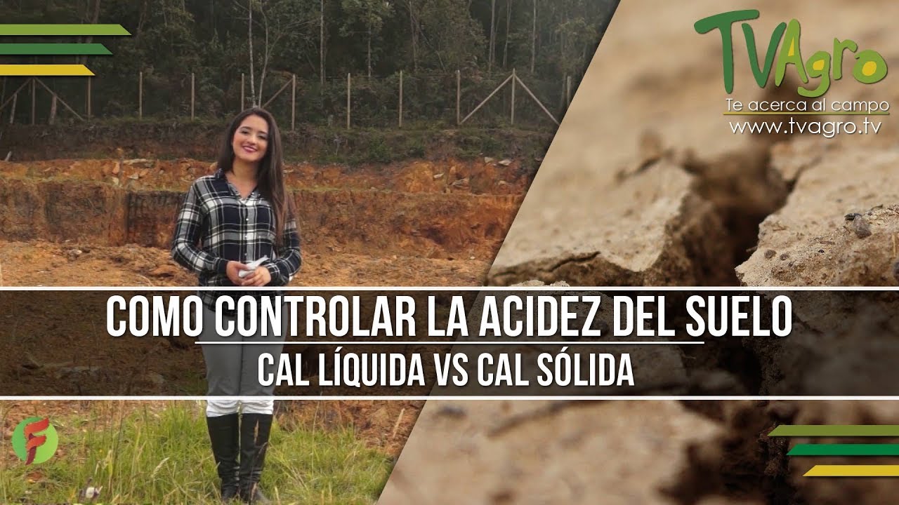 Como Controlar la Acidez del Suelo: Cal Líquida VS Cal Sólida - TvAgro por Juan Gonzalo Angel