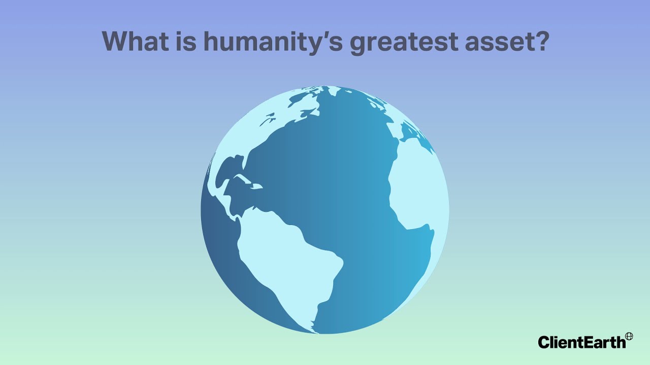 Why is biodiversity vital for life on earth?