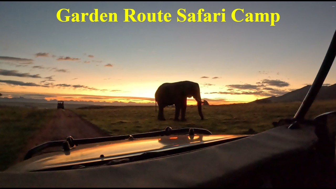 Garden Route Safari Camp