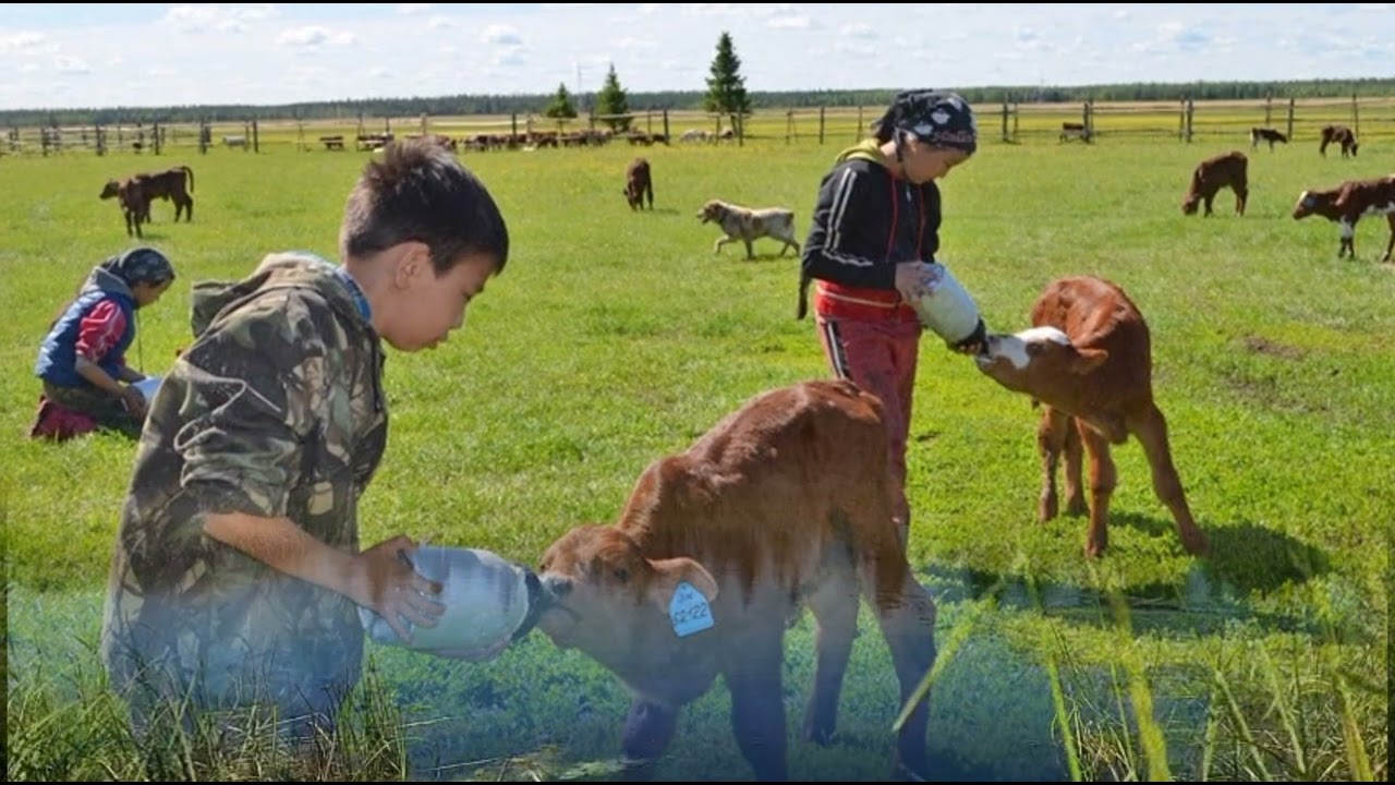 Түптэм унаар буруота