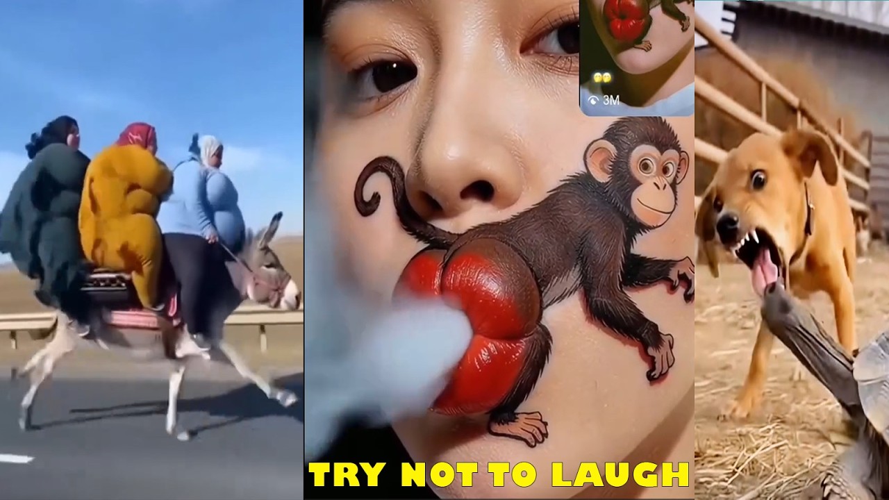 The TOP 5 FUNNIEST Videos Going VIRAL Right Now!