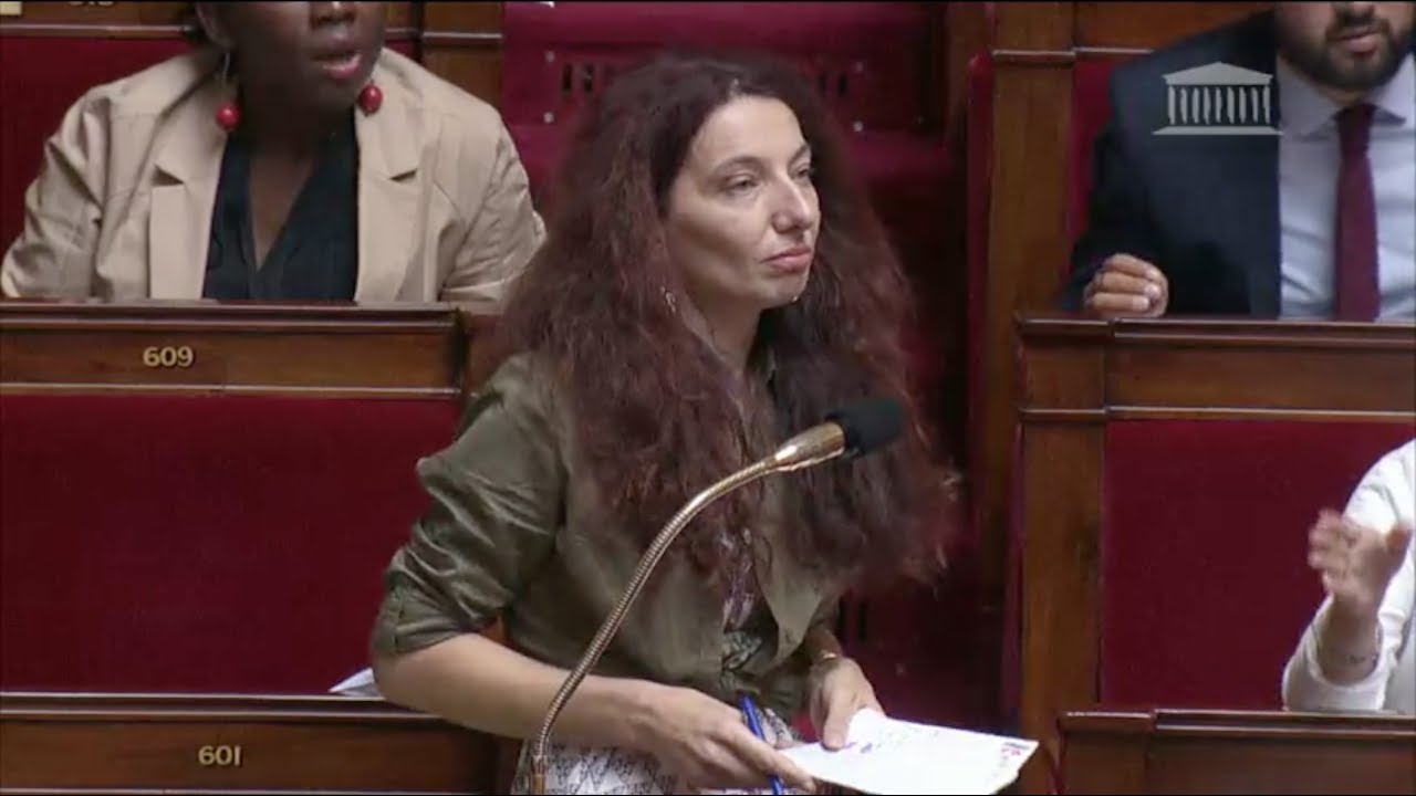 L'ÉTAT D'URGENCE EST DÉTOURNÉ DE LA LUTTE ANTITERRORISTE - Bénédicte Taurine