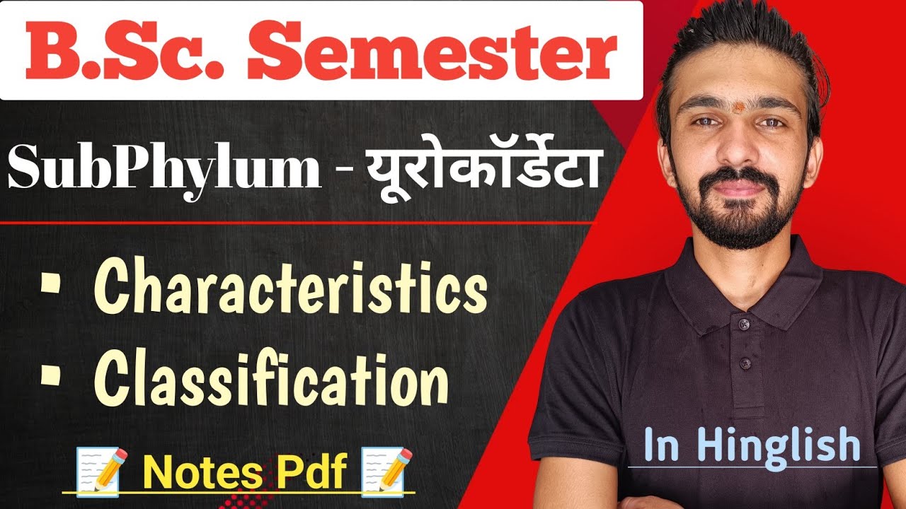 Urochordata Classification & Characteristics || Urochordata || Bsc Semester || By Dadhich Sir