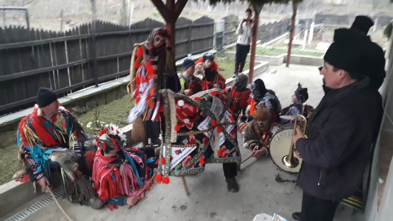 Cerbul de la Pîrcovaci 2018