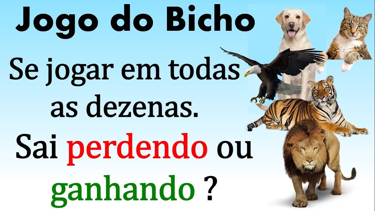 Jogo do Bicho - Se Você Jogar em Todas as Dezenas Sai Ganhando ou Perdendo Dinheiro ?