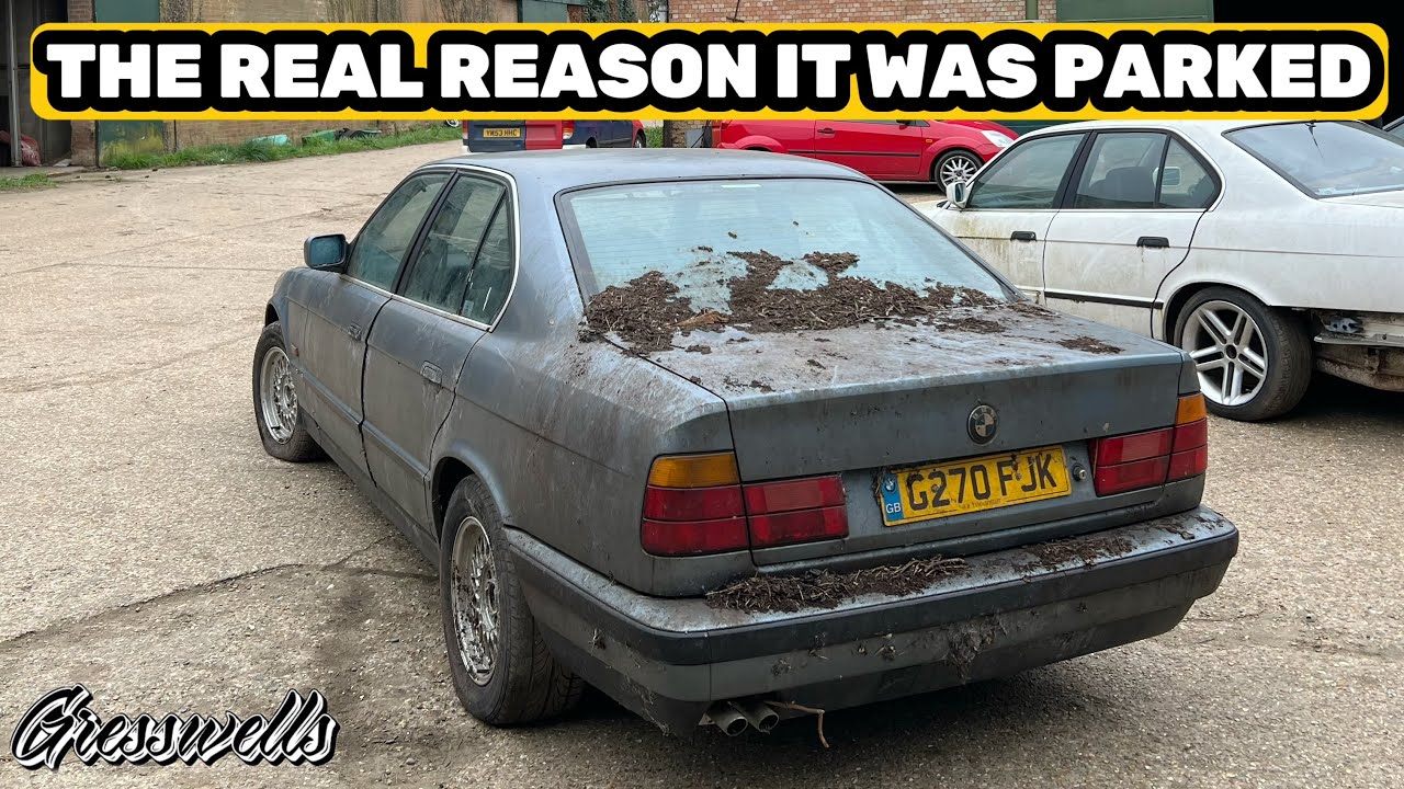 Field Find BMW E34 Gives A Nasty Surprise