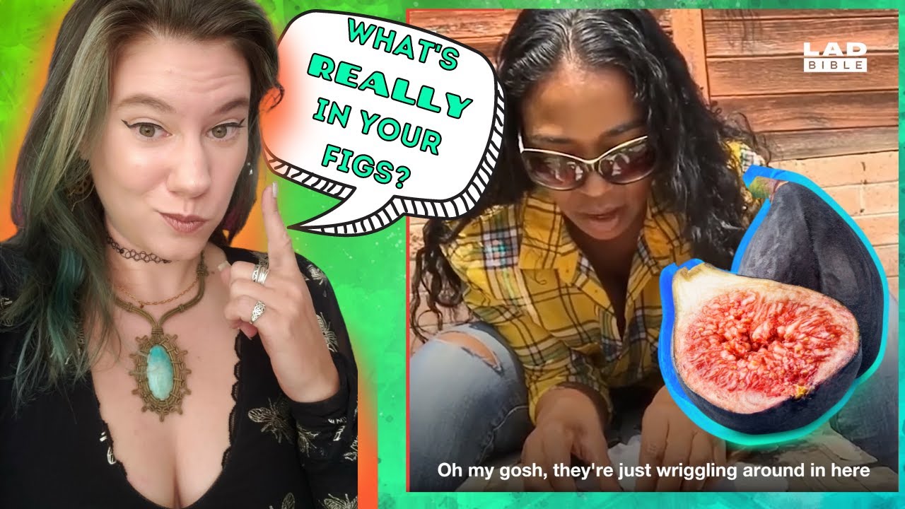 Bug Expert Reacts! You'll NEVER Eat Another Fig Again