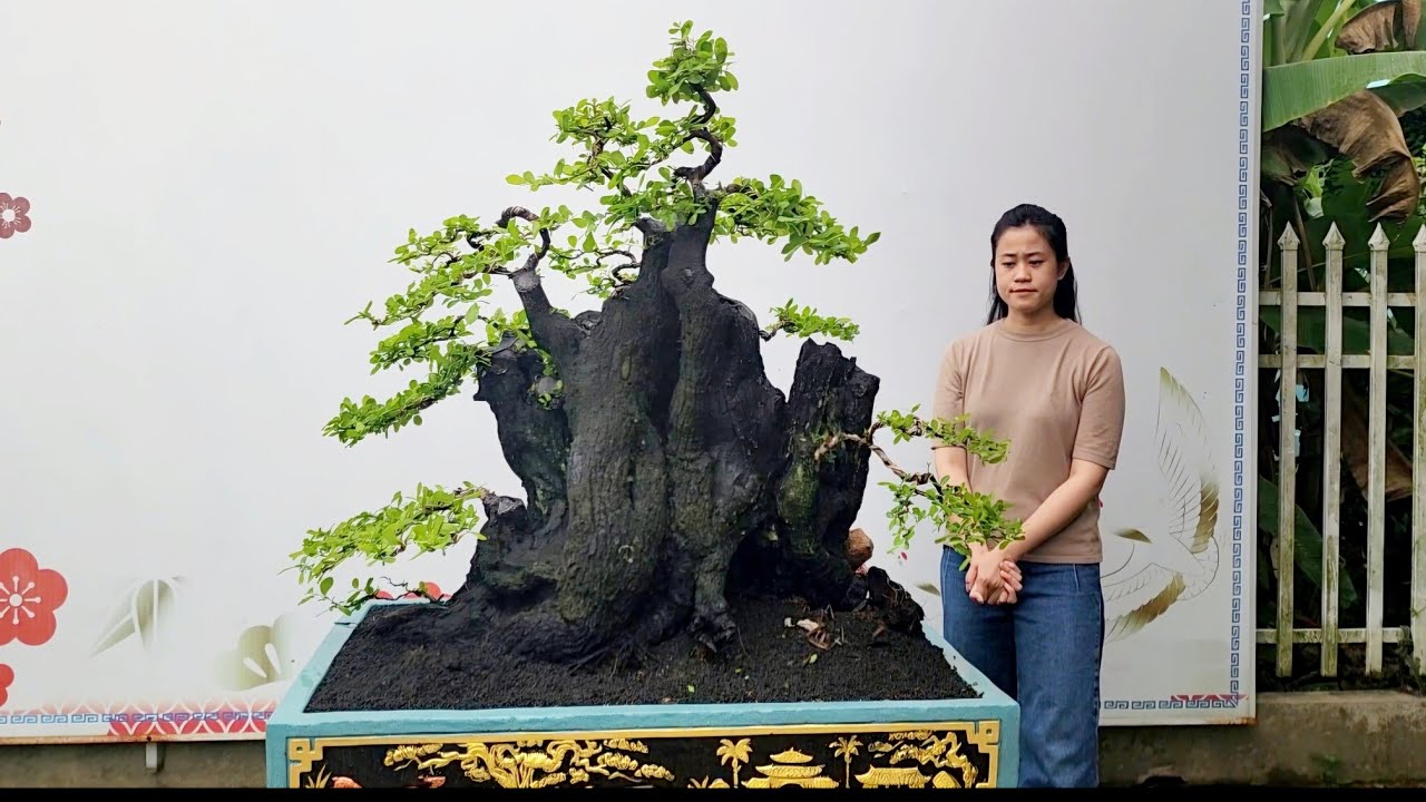 PAN CITY 618 🌺 Ra mắt 14 Cụ Cẩm thị hàng xe cẩu ạk 🦚