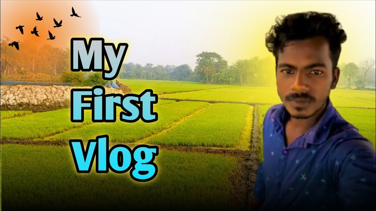 গ্রামীন জীবনের বাস্তব চিত্র 🌾 | ধানের চারা রোপনের মন ছোঁয়া দৃশ্য | Ratan Roy Vlogs