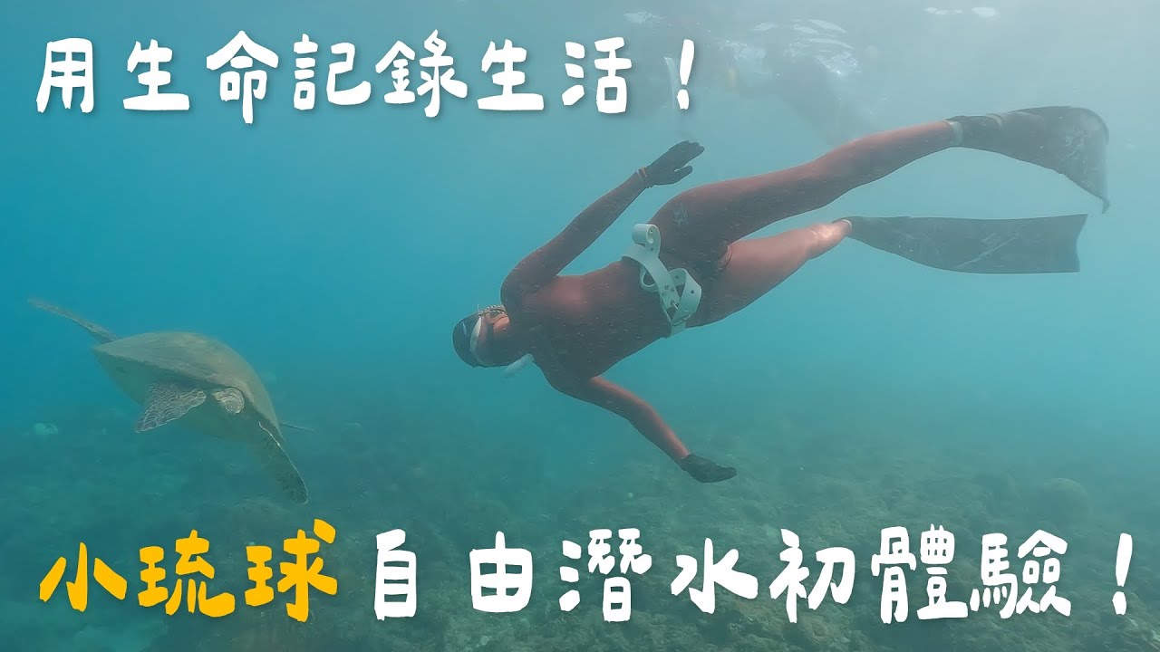 2025 國旅最熱門 小琉球  海龜  自由潛水 Aida2 證照