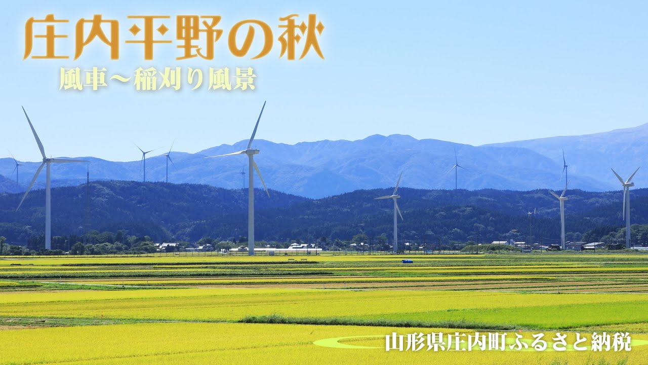 【山形県庄内町】庄内町ふるさと納税　秋の庄内平野　稲刈り　新米
