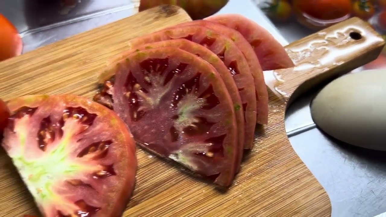 Fazendo molho de tomate 🥫 caseiro em casa #tomate #horta #façavocêmesmo 