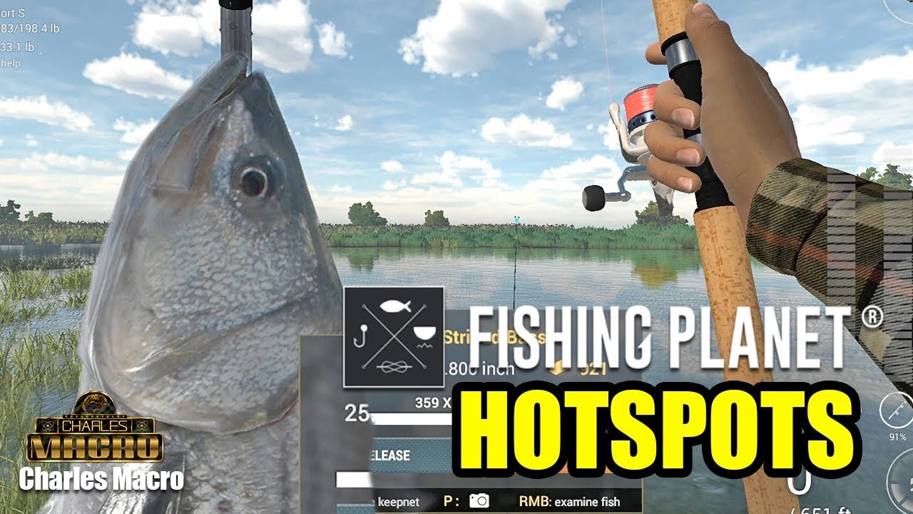 BEST HOTSPOT | CALIFORNIA | STRIPED BASS | CRANKBAIT | BIG MONEY | Fishing Planet | Ep. 11