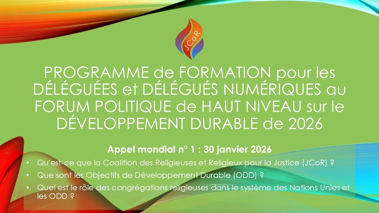 Programme de Délégation Numérique pour le FPHN 2026 sur le Développement Durable : Appel n° 1