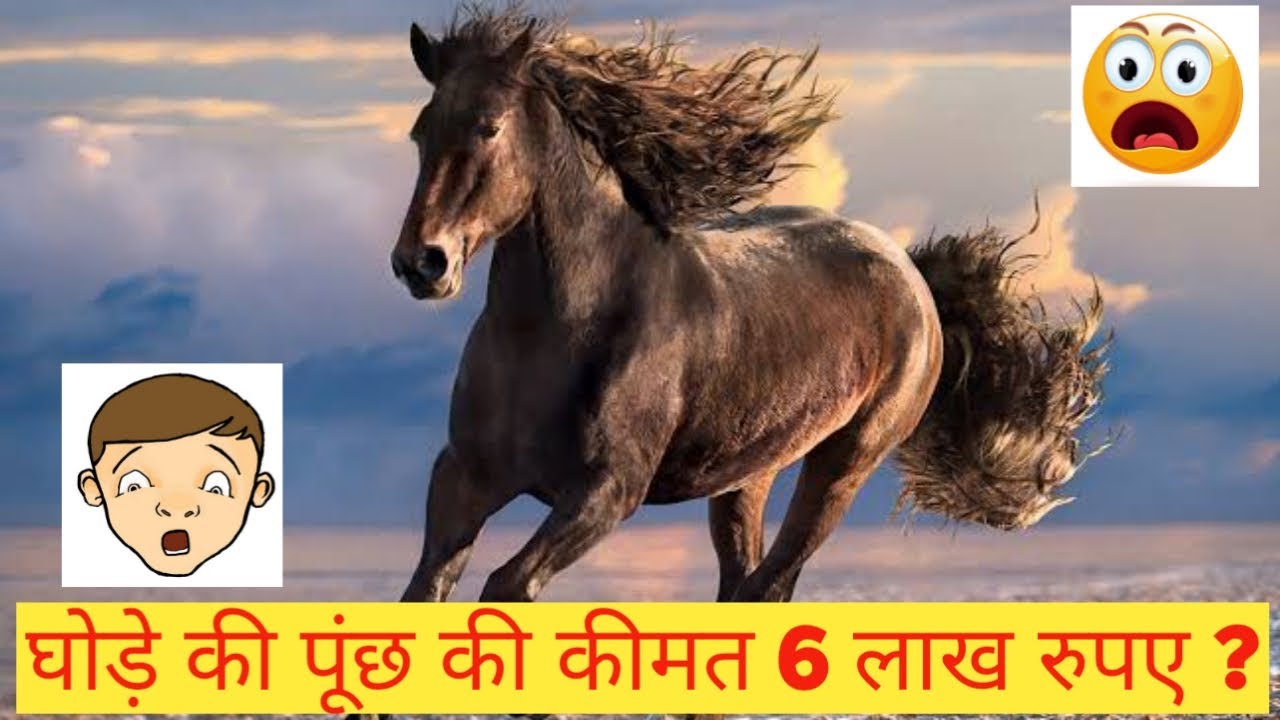 TOP 5 FACTS | कैसे चुंबक अपनी चुंबकीय शक्ति खो देता है ? | InfoLedge