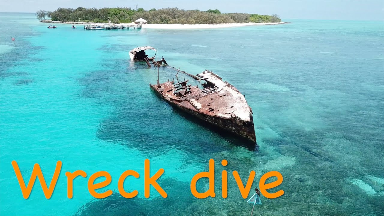 Journey to the Depths: Heron island’s marine life and wreck dive