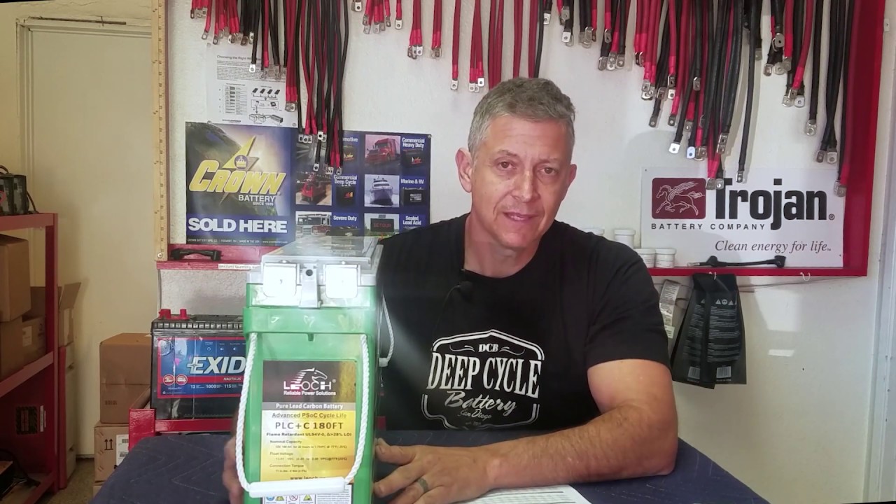 Leoch Pure Lead with Carbon AGM Battery