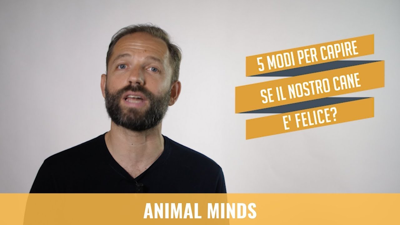 Cinque modi per capire se il nostro cane &egrave; felice