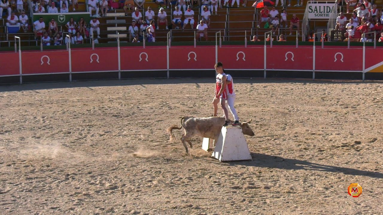 Tv Azagra - 13/09/2023 - Fiestas - Recortadores Locales.