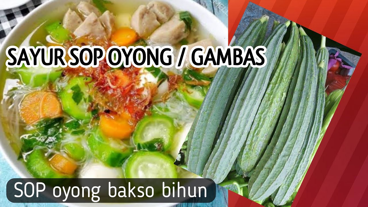 Cara membuat Sop oyong wortel bakso bihun (sop gambas)
