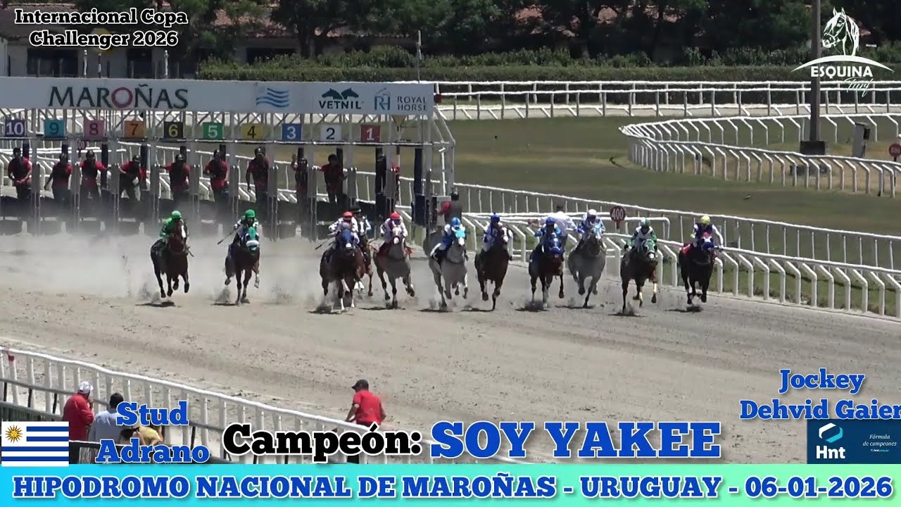 SOY YANKEE MR 