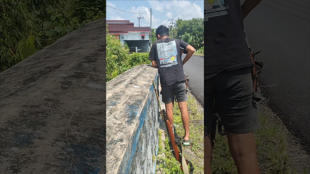 Menembak Biawak Jumbo Di bawah Jembatan #shorts