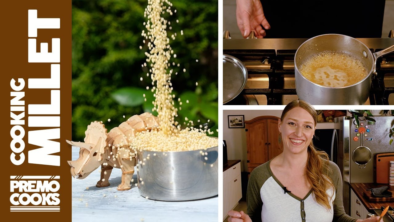 HOW TO Cook Dry Millet on the Stove | Cooking Millet from Scratch | Gluten-Free Ancient Grain