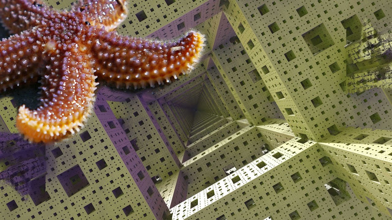 Sevish - Starfish (22edo microtonal music)