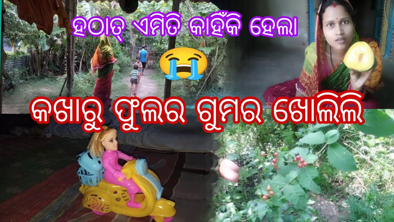 1 October 2025। କଖାରୁ ଫୁଲର ଗୁମର #Tulasilife vlog#odiavlog ।