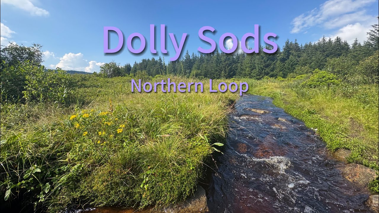 Dolly Sods Weekend Hike: Northern Sods Loop