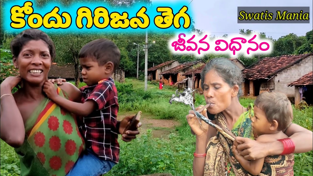 vlog with kondhu tribes|life style of kondhu tribes|tribal people culture@swatis mania