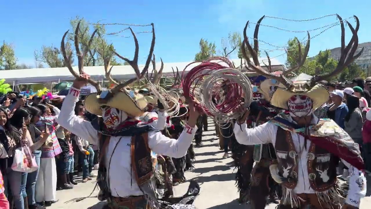 Desfile de Carnavales en Pachuca Hidalgo 