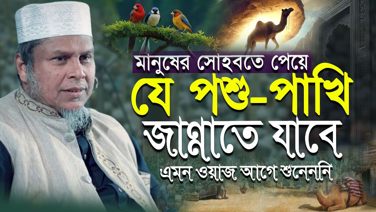ভালো মানুষের সোহবত পেয়ে যে পশু-পাখীগুলো জান্নাতে যাবে । চমৎকার ওয়াজ । ডক্টর কাফীলুদ্দীন সরকার সালেহী