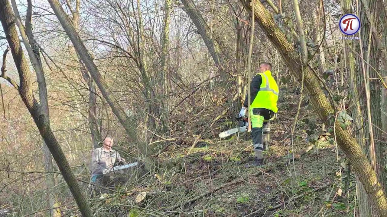 U opštini M.Zvornik realizovana akcija uklanjanja stabala i rastinja