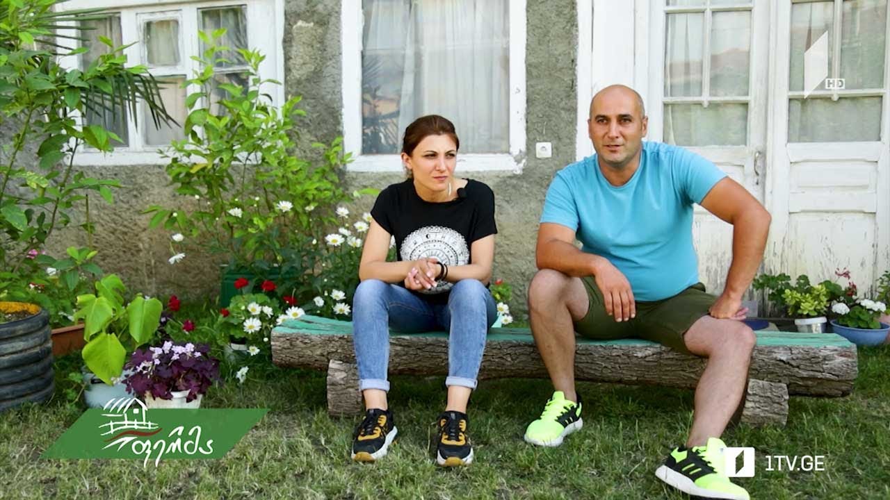 #არტიშოკი თბილისელი ცოლ-ქმრის ორი სკით დაწყებული მეფუტკრეობა კისისხევში