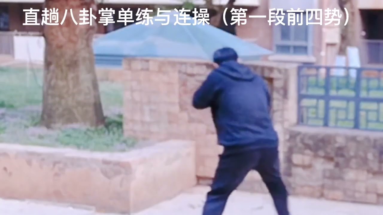 直趟八卦掌单练与连操（第一段前四势）