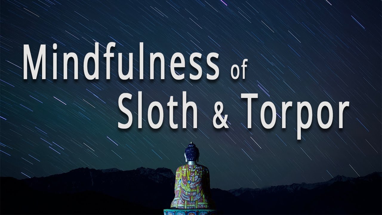 Mindfulness of Sloth & Torpor (#17 The Four Establishments of Mindfulness) by Joseph Goldstein