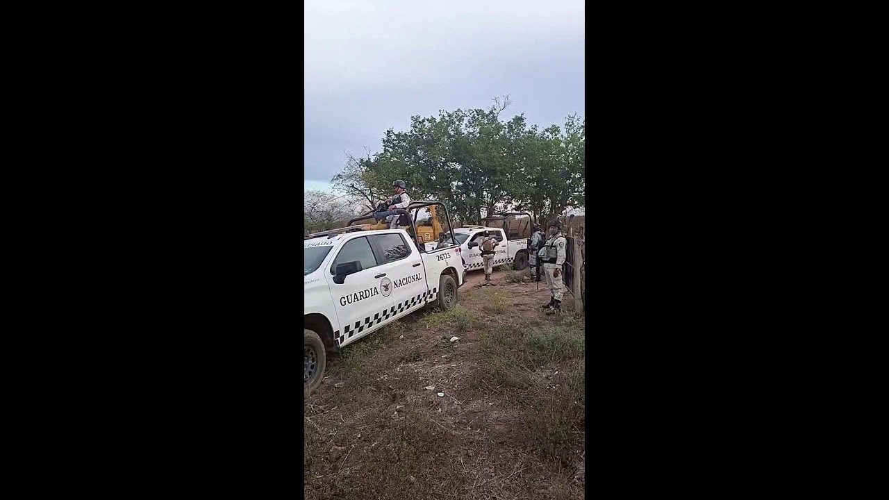 #EnVivo| Rastreadoras llegan hasta el acceso de la presunta fosa clandestina en El Verde Concordia.