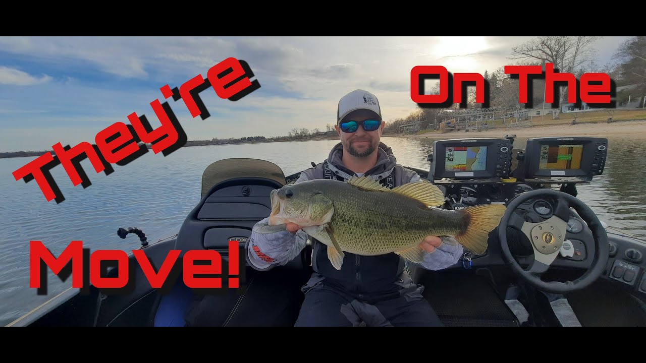 My Last Days On Open Water 2022