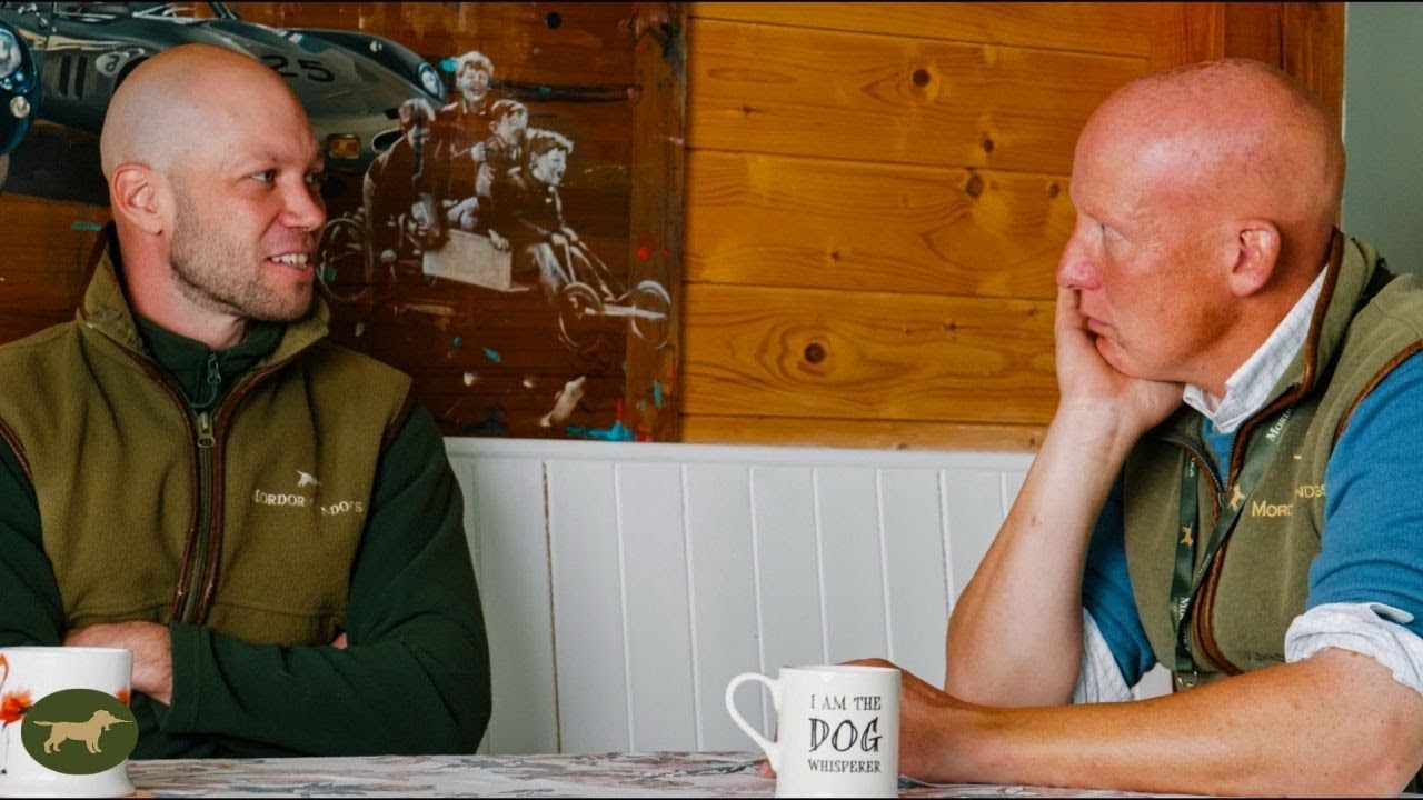Shock Collar Response (As Professional Gundog Trainers)