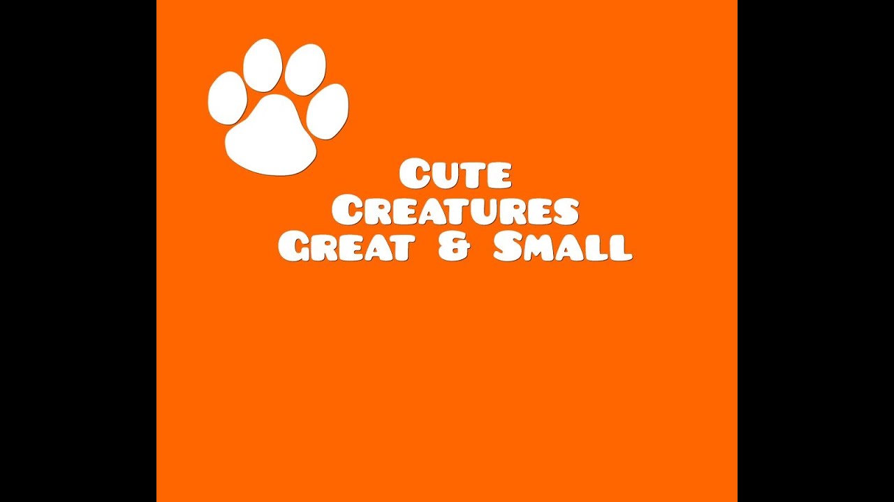 Cute Creatures Great And Small