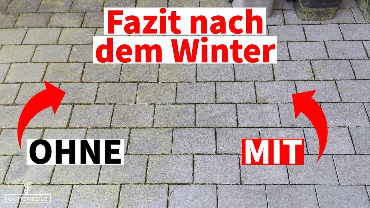 Steinimprägnierung - Unser Fazit nach dem Winter! Kein Grünbelag mehr auf unserem Pflaster?