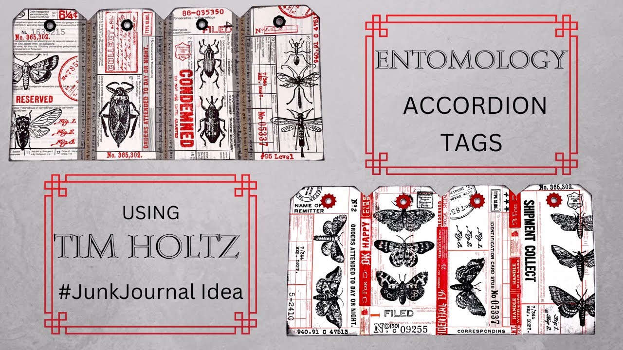 FUN PROJECT - ACCORDION TAGS - ENTOMOLOGY - #papercraft #junkjournalideas #craftwithme #timholtz